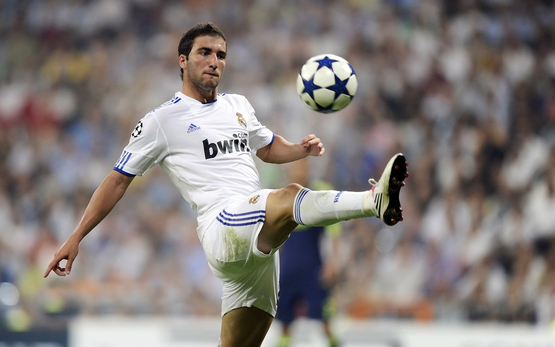 世界武术太极锦标赛老将再度登顶，武术世界频道太极拳